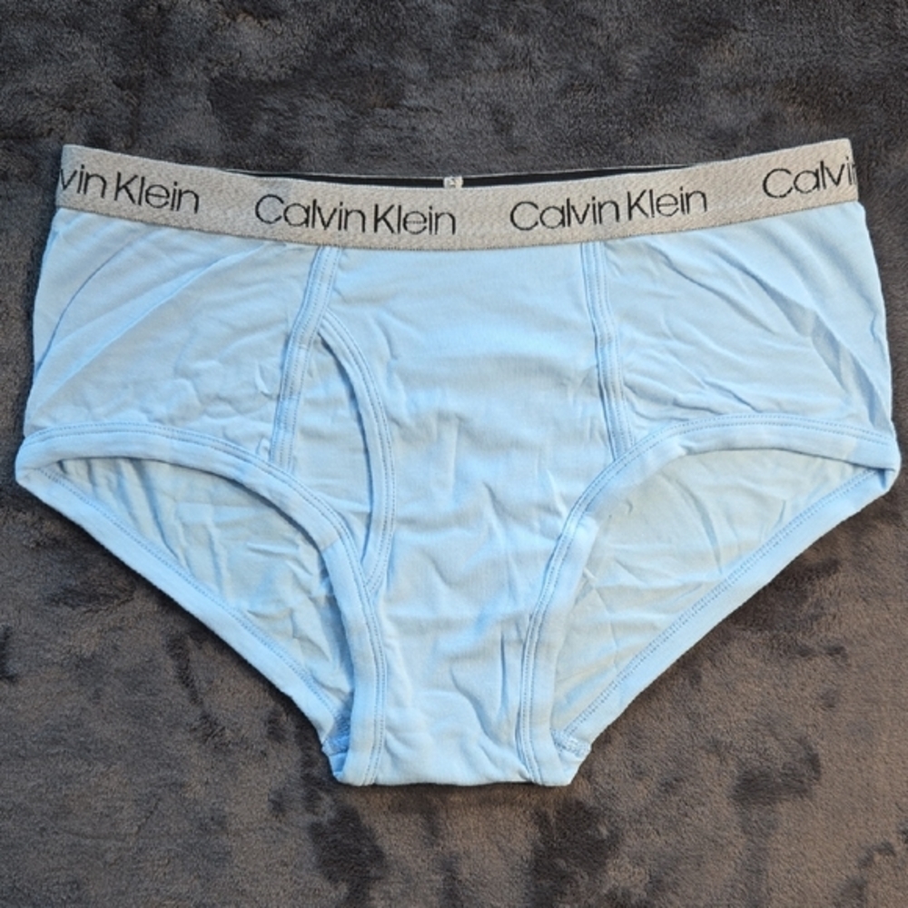 Calvin Klein Light Blue Briefs